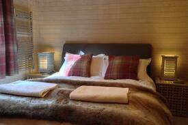 Machynlleth Cabin | Tan-y-Coed