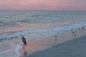 Indian Rocks Beach Apartment | STEPS TO THE BEACH!! Dunes Point, Indian Rocks