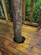 Andrews House | Little Tree