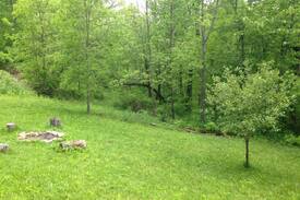 Soldiers Grove Cabin | Amish cabin on beautiful 40 acres