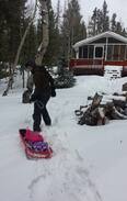 Fairplay Cabin | Rustic Off-Grid Cabin in Woods w Treehouse