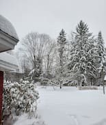 Williamsville Apartment | Apartment at Five Ferns