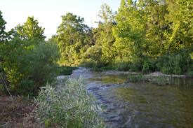 Hardy Cabin | STELLA'S ON BIG CREEK - Fish, Float, and Relax