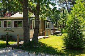 Pleasant Point Cabin | Pine Lodge - spacious and dog friendly!