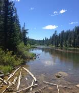 Meadow View Heights Cabin | Cozy Cedar Mountain Cabin
