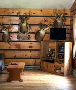 Hacker Valley Cabin | Grizz's Cabin in Almost Heaven, Hacker Valley, WV