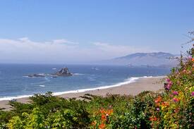 Bodega Bay House | Cliff Cottage - Ocean front getaway.
