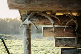Tudenham Cabin | Authentic Log Cabin