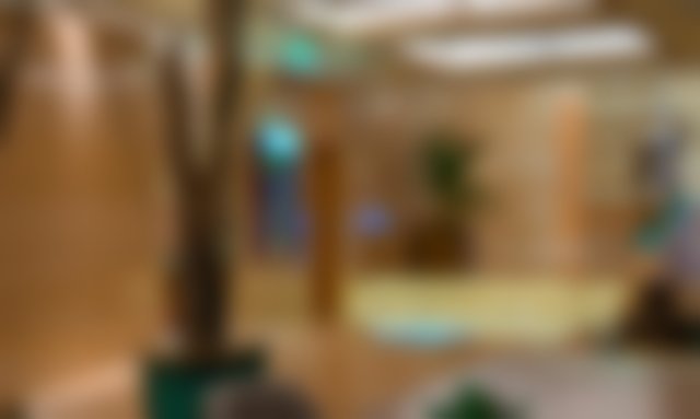Jonestown Cabin | The Dam Cottage, waterfront paradise