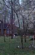 Petsworth Other | Nothing Fancy at Witts End Mini Farm on Beaver Dam
