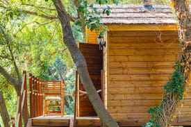 Cassis Other | cabane CAP CANAILLE dans les arbres de cassis