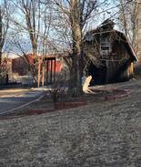 Montrose House | The Barn in Coal Creek