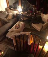 Raymond Cabin | Cozy treehouse cottage sanctuary
