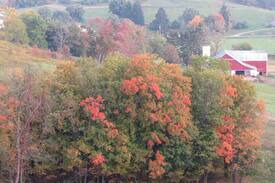 Sugarcreek House | Creekside Guest House - 5br w/heated inground pool