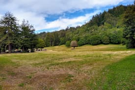 Soquel Cabin | cabin overlooking Soquel Creek