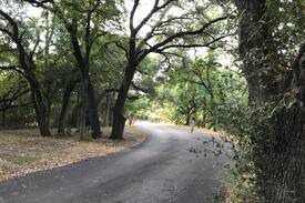 North San Antonio - SAT Cabin | Casa Salado "Dos"- On Salado Creek