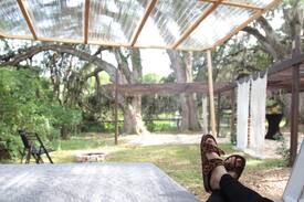 Ocala House | Tiny Cabin on Farm #3 (With AC)