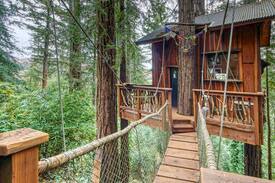 Woodacre Other | A treehouse in the sky. A home in the redwoods.