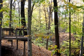 Salem Cabin | "THE MOON" - Creek Ridge Cabins at Lexington