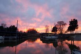 Clifton Other | River View of the TN River At Clifton RV & Marina