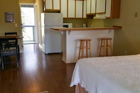 Friday Harbor Apartment | Sandpiper 4 of Friday Harbor