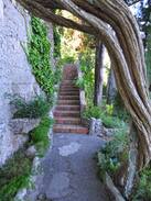 Ravello Villa | Villa Sophia con accesso privato al mare