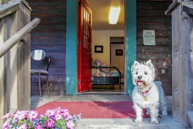 Alyeska Apartment | The Darling Suite 1BR in the Heart of Girdwood