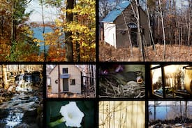 Valois Cabin | Caywood Cabin By The Stream