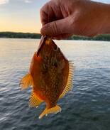 Erieville Cabin | Summer Camp on Tuscarora Lake