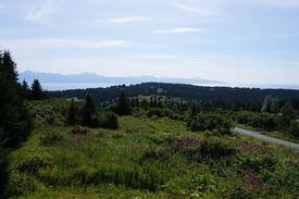 Homer Cabin | Diamond Ridge Cabin Custom log home, amazing view