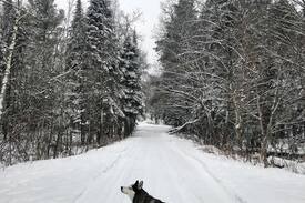 Ellenburg Center Villa | Forget-Me-Not Chalet on Chateaugay Lake