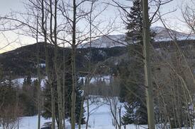 Alma House | Titmouse House in Placer Valley