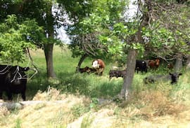 Dawes County House | V7 Ranch Country Home