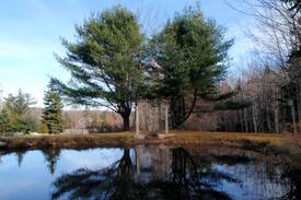 Southwest Harbor Cabin | Cranberry Cottage in Acadia, 5 min walk into town!