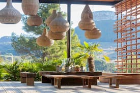 Cassis Other | cabane CAP CANAILLE dans les arbres de cassis