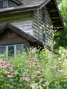 Decorah Cabin | Fern Hollow Cabin in Lush NE Iowa