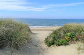 North Eastham Cabin | 345 Harmes Way - 345 HARMES WAY - 3 Bedroom