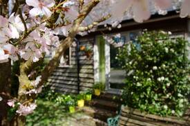 Steyning Cabin | Cissbury Cottage perfect for the South Downs
