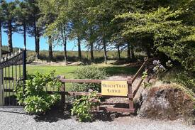 Kenmare House | Beech Tree Lodge