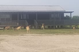 Winnie Cabin | Flying W Ranch Exotic Hunts and Nature Adventures.