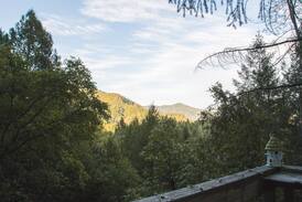 Lakehead Cabin | Tawny Owl Cottage - Cozy Cabin Retreat with a View