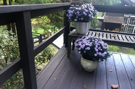 New Preston House | Chagall's Retreat - A Private Annex