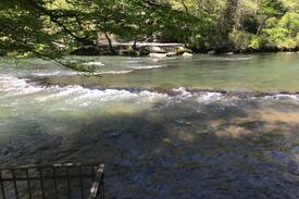 Mineral Bluff House | Toccoa Fish Trap Escape