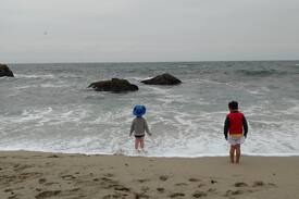 Bodega Bay Cabin | Harbor Cutie Family Friendly Centrally Located