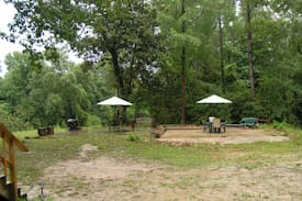Stone County Cabin | Peaceful Wiggins Cabin overlooking Red Creek