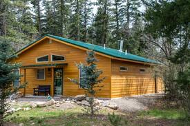 Cloudcroft Cabin | Always Cloud 9 (No steps/stairs; dogs OK)