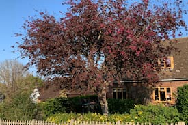 Roxton House | The Eagles Nest in Restful the Roxton village