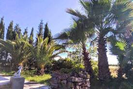 Cutrofiano Villa | proyecto oboe Giardino Botánico