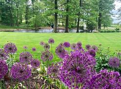 Apple Creek Cabin | The Cabin at Saltcreek Pond-Relax in the hot tub!