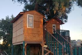 Buckeye Other | Cute treehouse with balcony